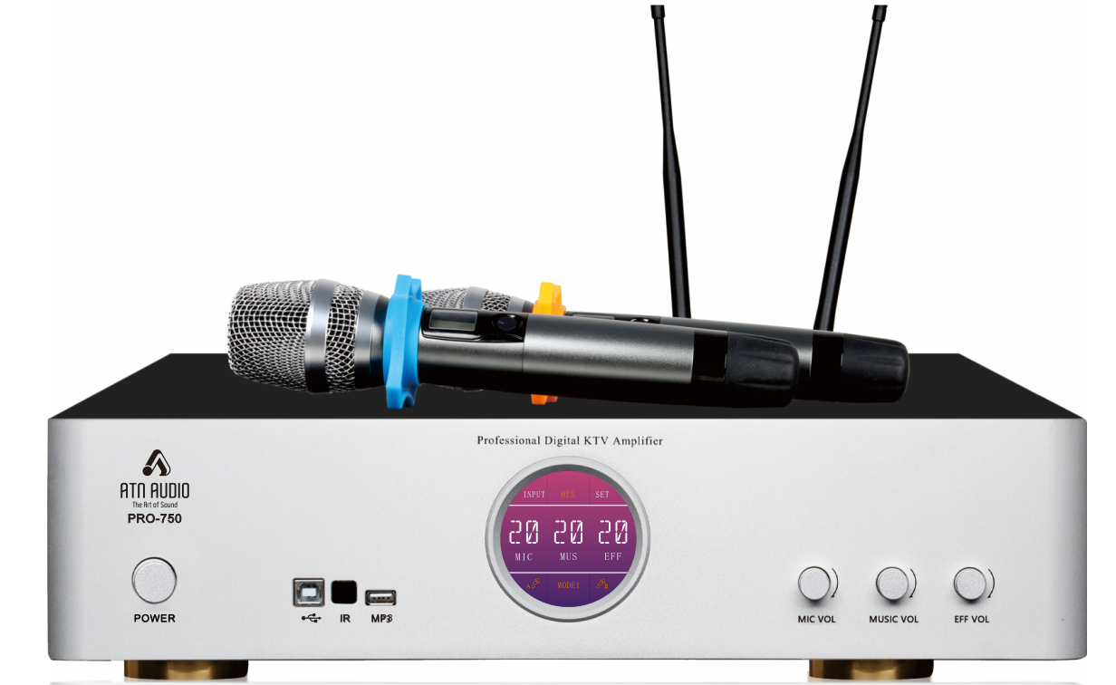 Pro-750 Karaoke Amplifier