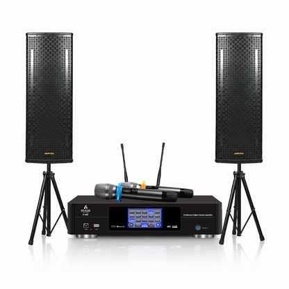 Ampyon LS-12EX Professional Karaoke Speaker