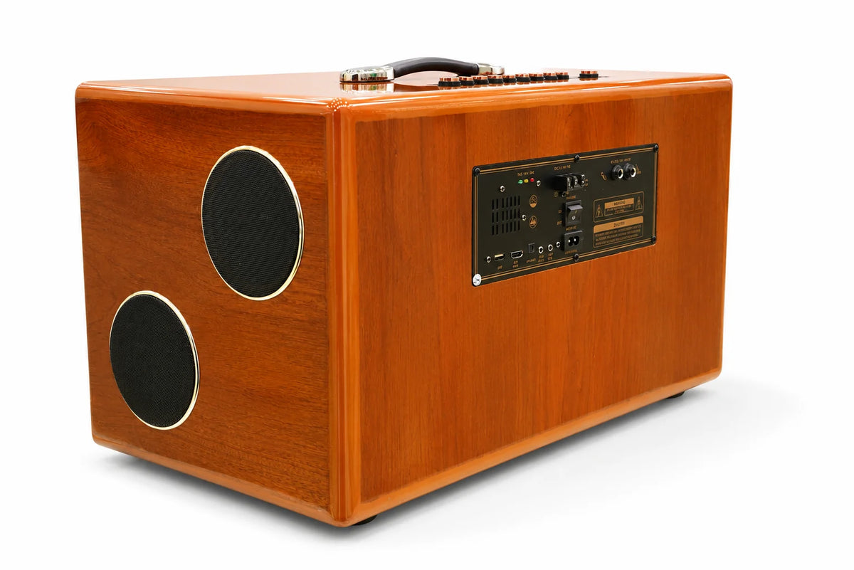 Angled view of the Oris TX 252 karaoke speaker showing the side control panel