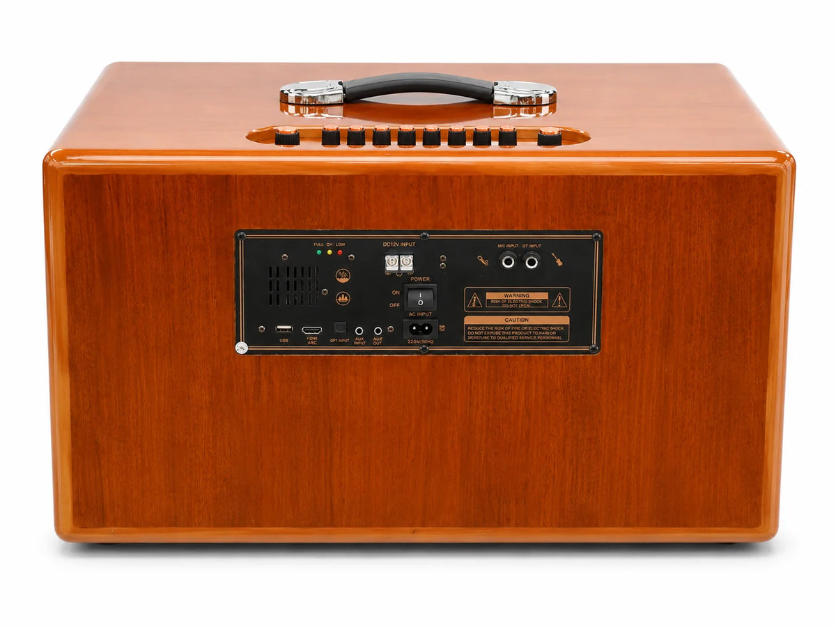 Rear panel of the Oris TX 252 karaoke speaker with its inputs and controls