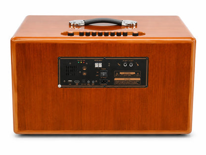 Rear panel of the Oris TX 252 karaoke speaker with its inputs and controls