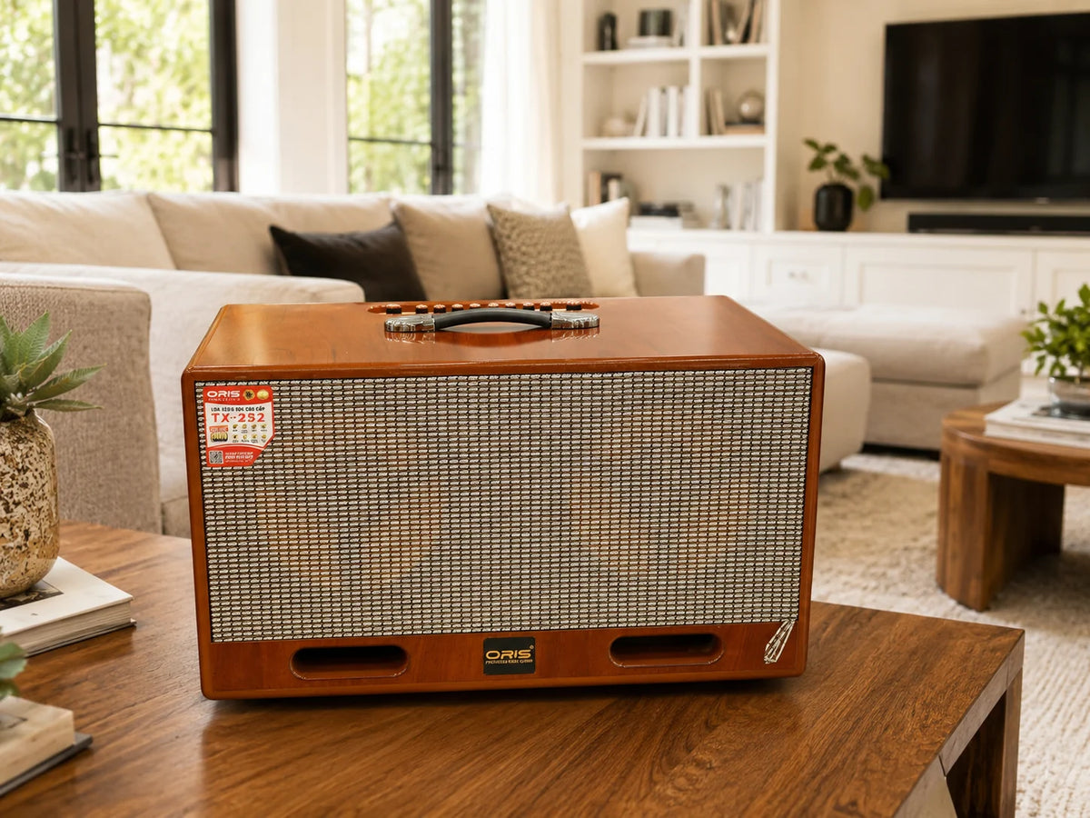 Oris TX 252 karaoke speaker on a coffee table in a living room