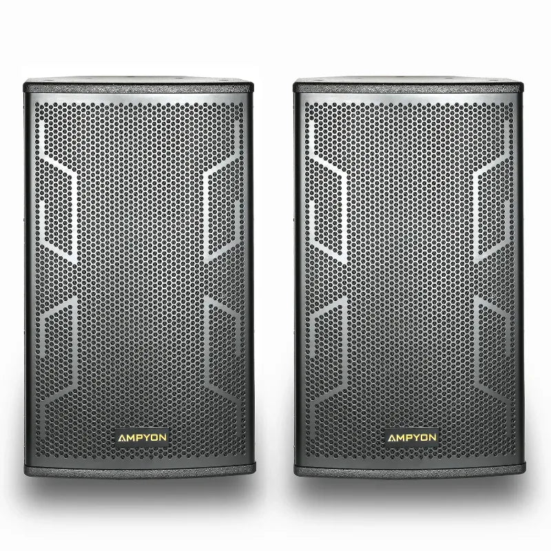 Ampyon LS-12ES Professional Karaoke Speaker (Copy) 3