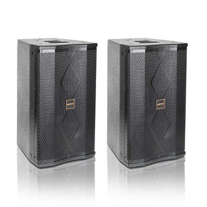 Ampyon LS-10 Professional Karaoke Speaker