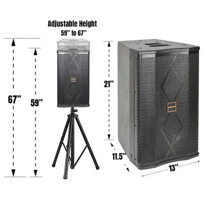 Ampyon LS-10 Professional Karaoke Speaker