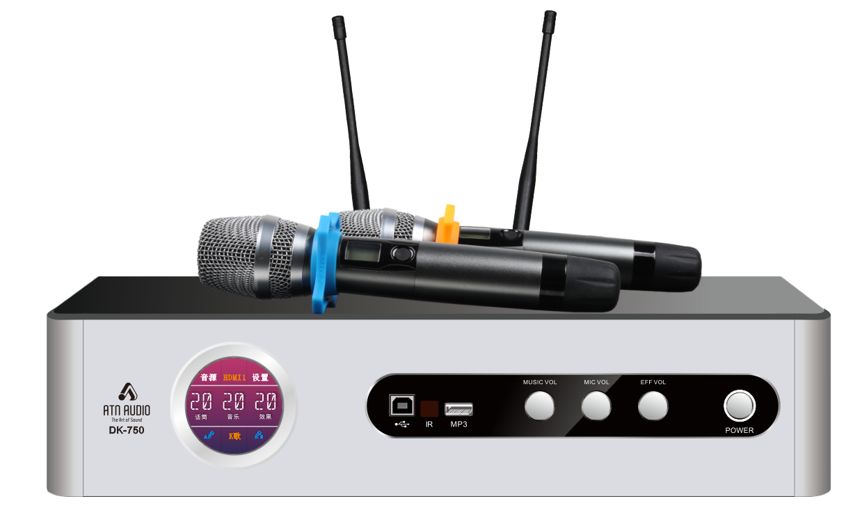 DK-750 Karaoke Amplifier